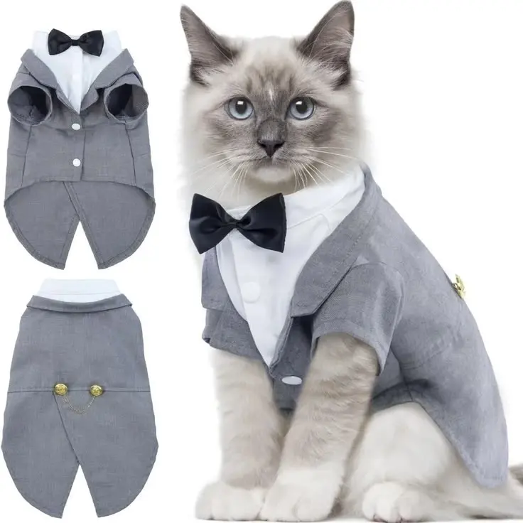 Trang phục tuxedo cho mèo